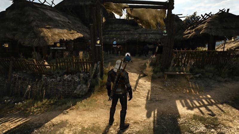 witcher 3 gore mod