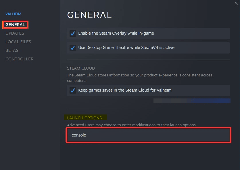 Launch Options allow you to force certain properties inside the game, like being able to enable the Valheim console after the latest update