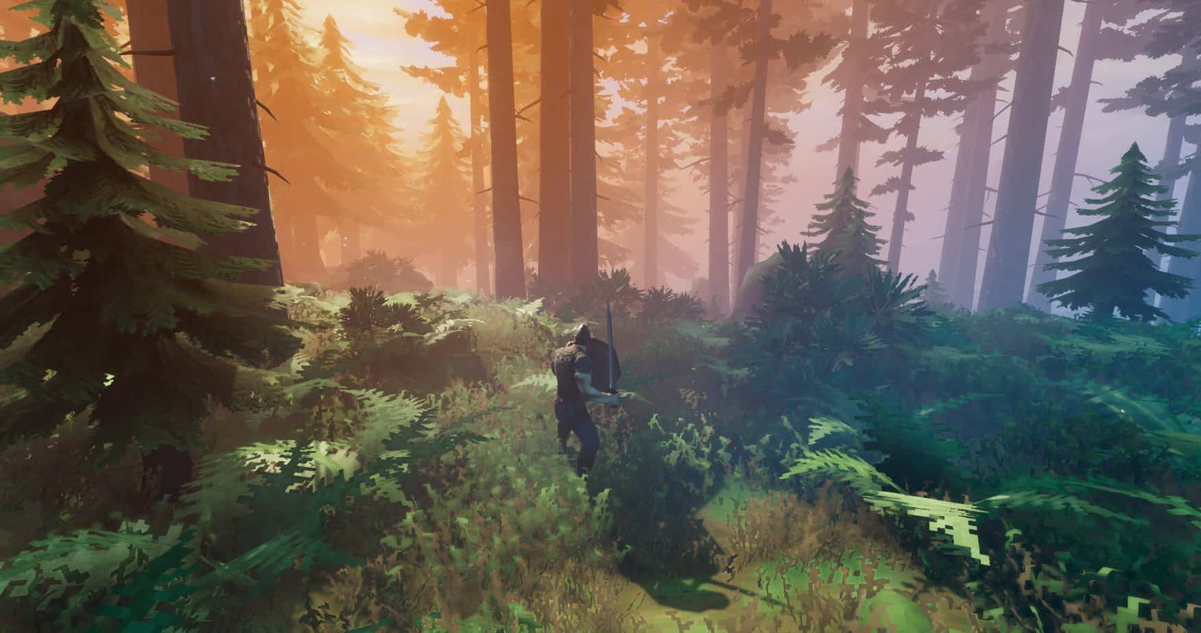 Valheim Screenshot on PC during Early Access