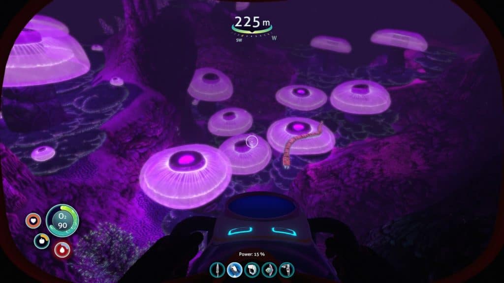 The Jellyshroom Caves