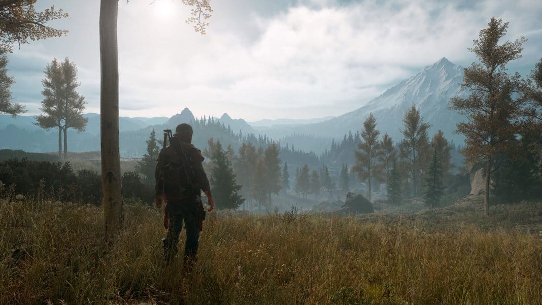 Days Gone Screenshot of the PC Version