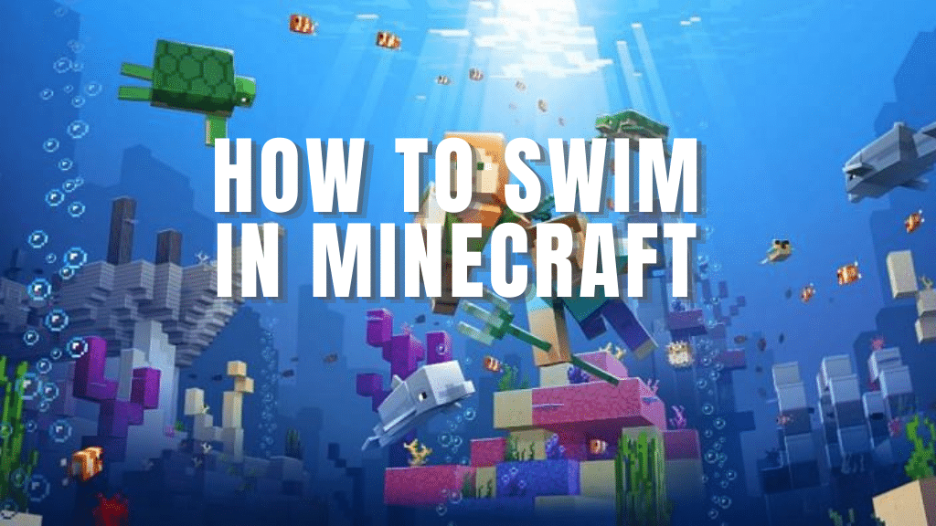 How To Swim in Minecraft