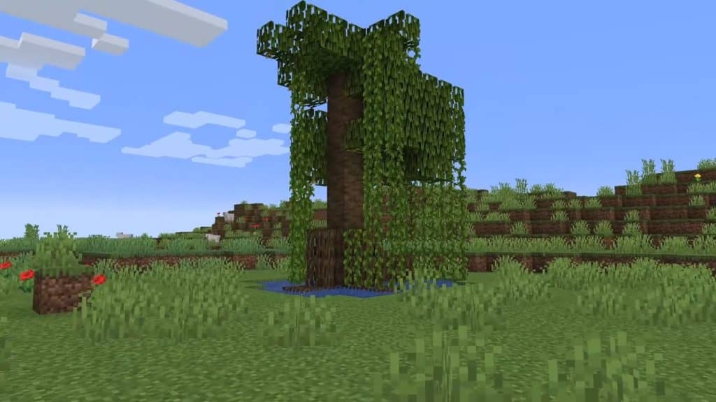 Minecraft 1.19 Wild Update - Mangrove trees