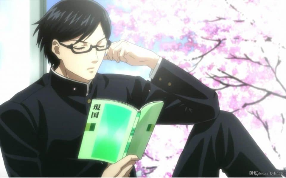 I Am Sakamoto (Sakamoto Desu-Ka)