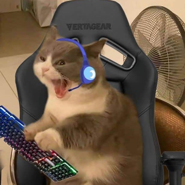 Screaming gamer cat
