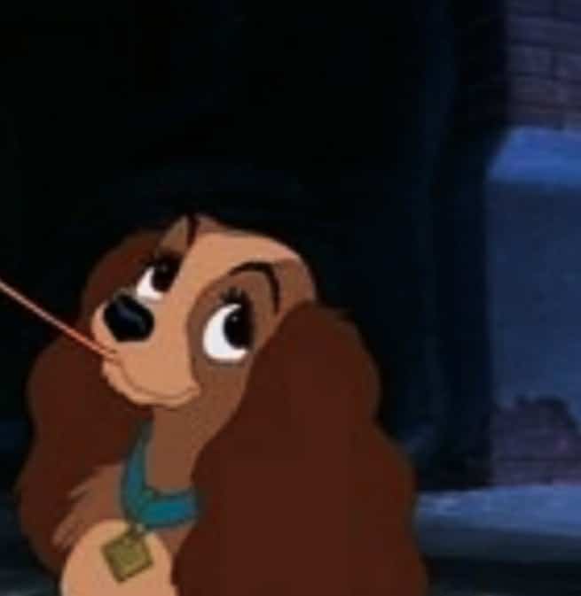 Lady And The Tramp Matching Pfp 2 -The Best Matching Pfps To Express Your Style And Personality