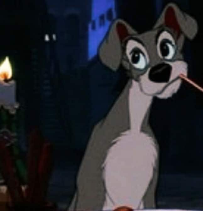 Lady And The Tramp Matching Pfp