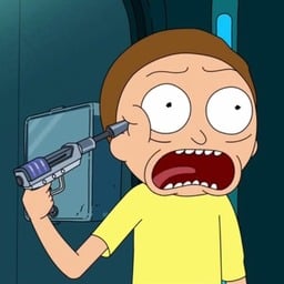 Morty pointing a gun at his head while screaming matching PFP