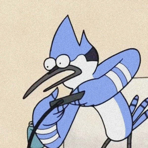 Mordecai playing a video game with Rigby matching PFP