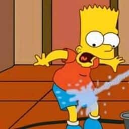 Bart getting hosed down by Lisa matching PFP
