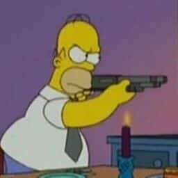 Homer pointing a shotgun at Marge matching PFP