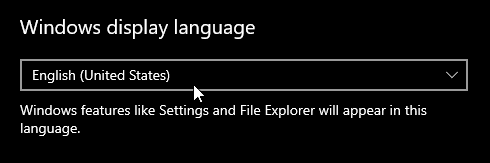 Your Windows Display Language is the one that shows up almost everywhere in Windows