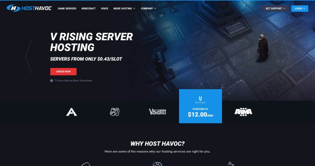 BEST V Rising Server Hosting: Rated by Experts