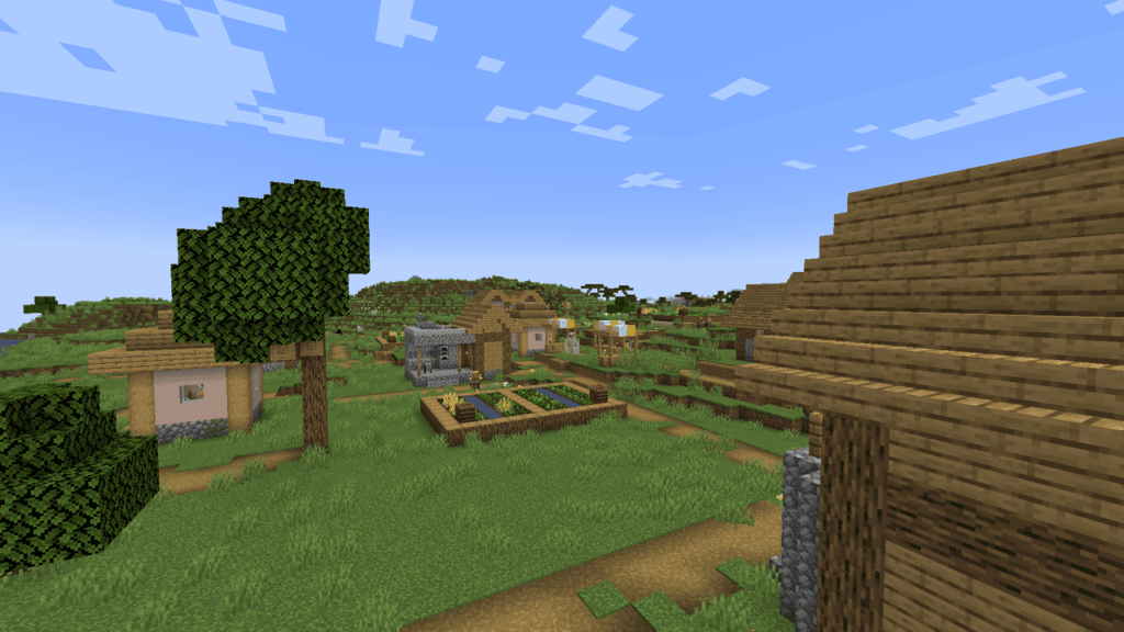 One of the villages in the plains biome