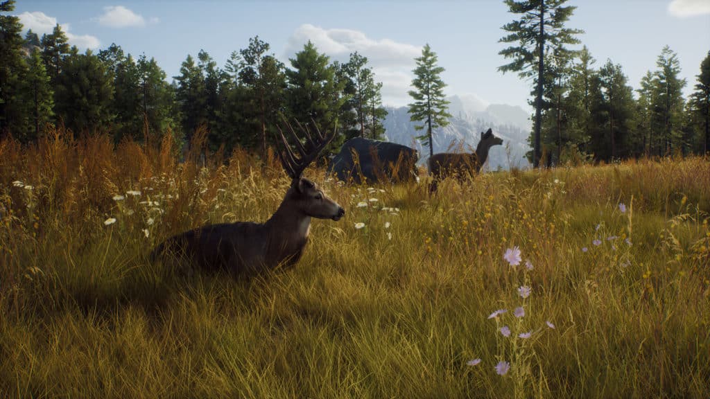 Way of the Hunter Screenshot from Steam
