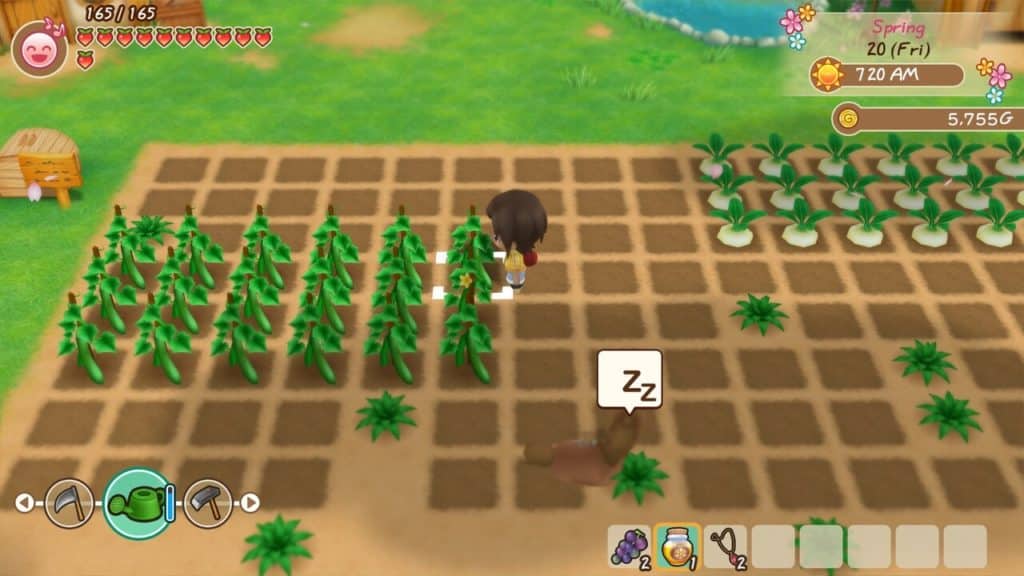 Story of Seasons Friends of Mineral Town game like Stardew Valley