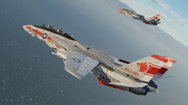 A pair of fighter jets taking flight in this popular flight and combat simulator