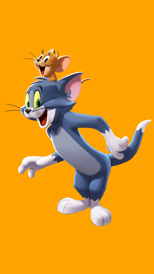 Tom and Jerry Default Costume