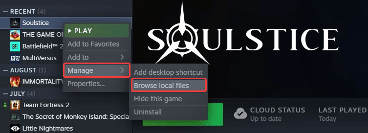 Puedes acceder a los distintos archivos de Soulstice a través de la biblioteca de Steam