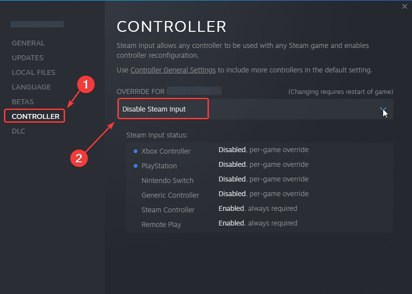 Disable Steam Input in Controller Settings