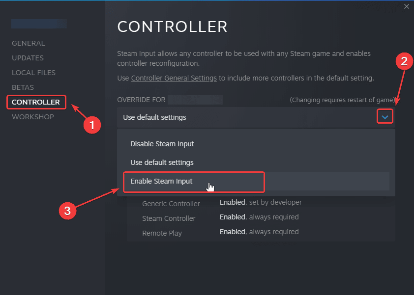 Controller >Enable Steam Input