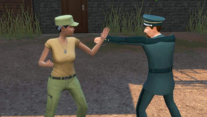 Two military Sims sparing.