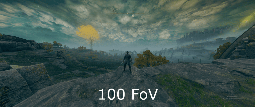 100 FoV in Elden Ring