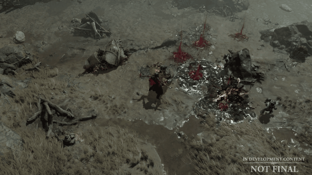 Diablo IV necormancer combat