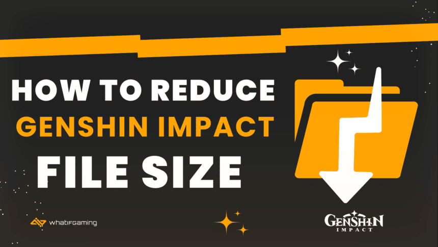 Reduce Genshin Impact File Size