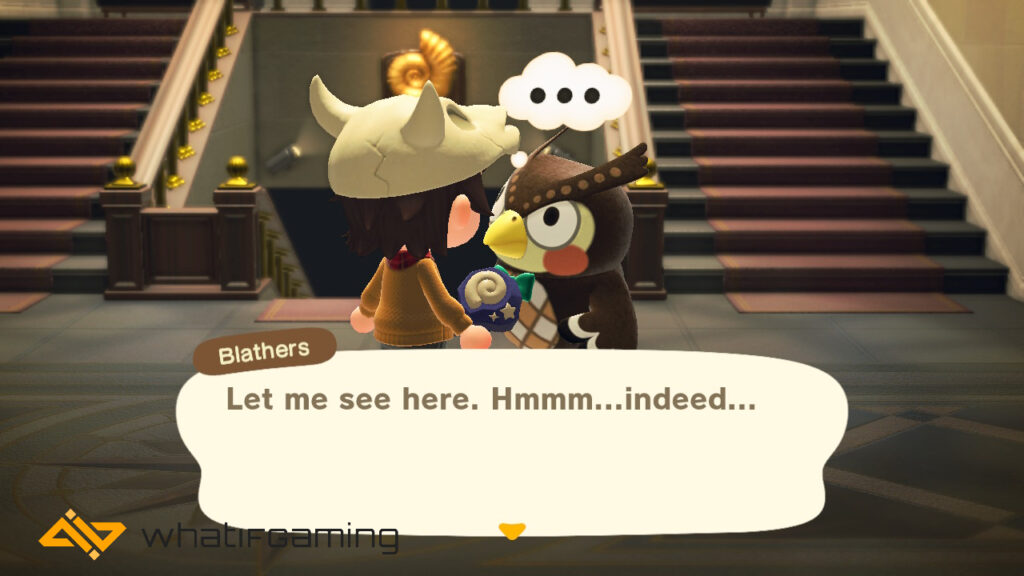 Blathers inspecting a fossil that the player has handed him. 