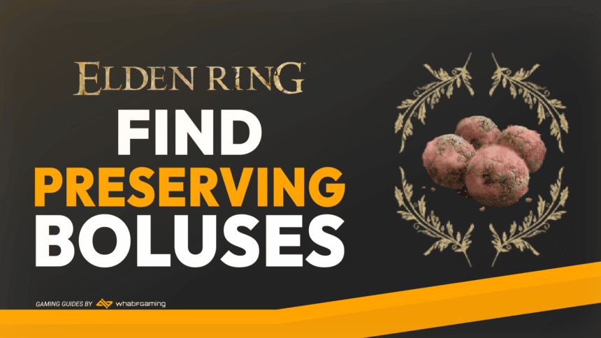 Elden Ring Find Preserving Boluses