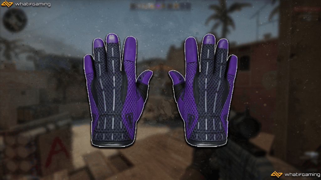 The most expensive CS:GO glove skin sports gloves pandora's box.