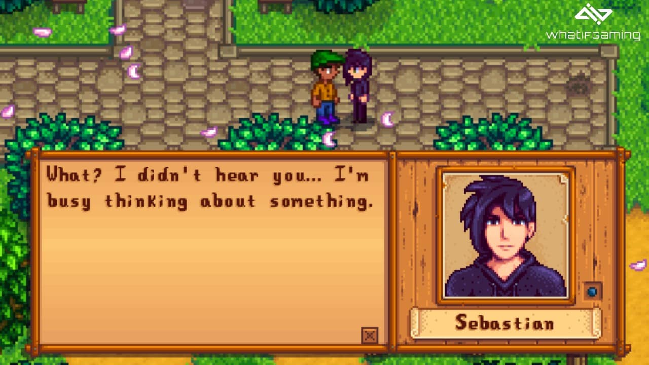 Sebastian's 0 friendship dialogue in Stardew Valley