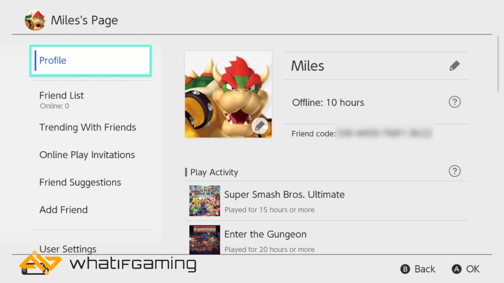 The user profile page on a Nintendo Switch.