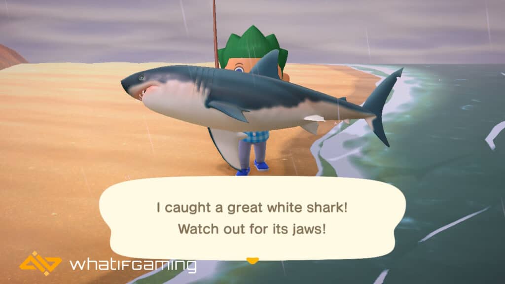 What is the rarest fish in Animal Crossing