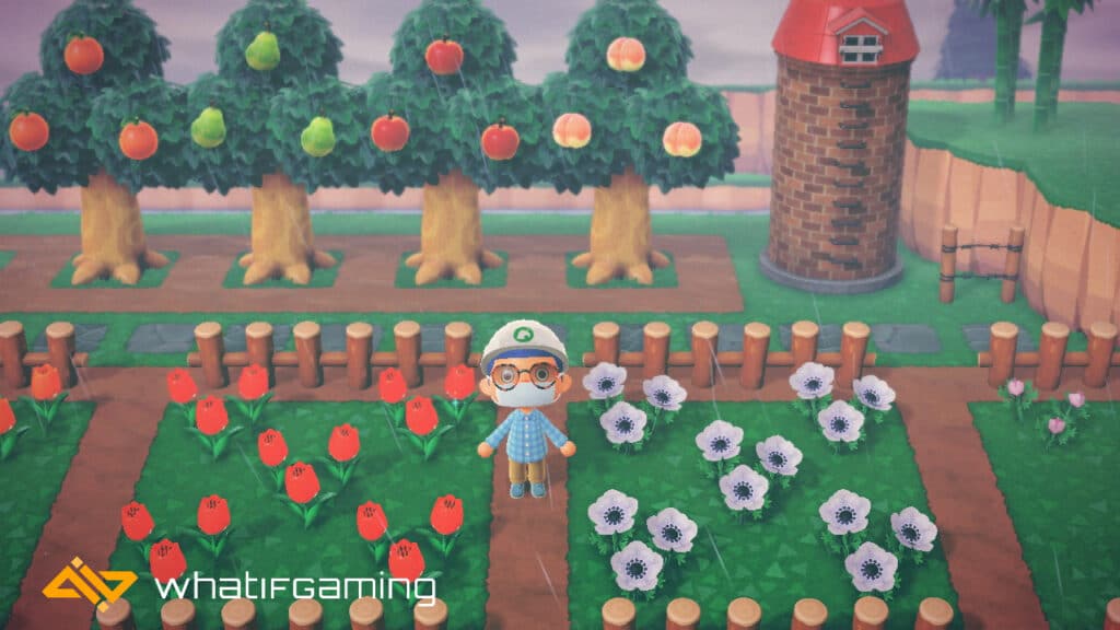 How to plant fruit in Animal Crossing