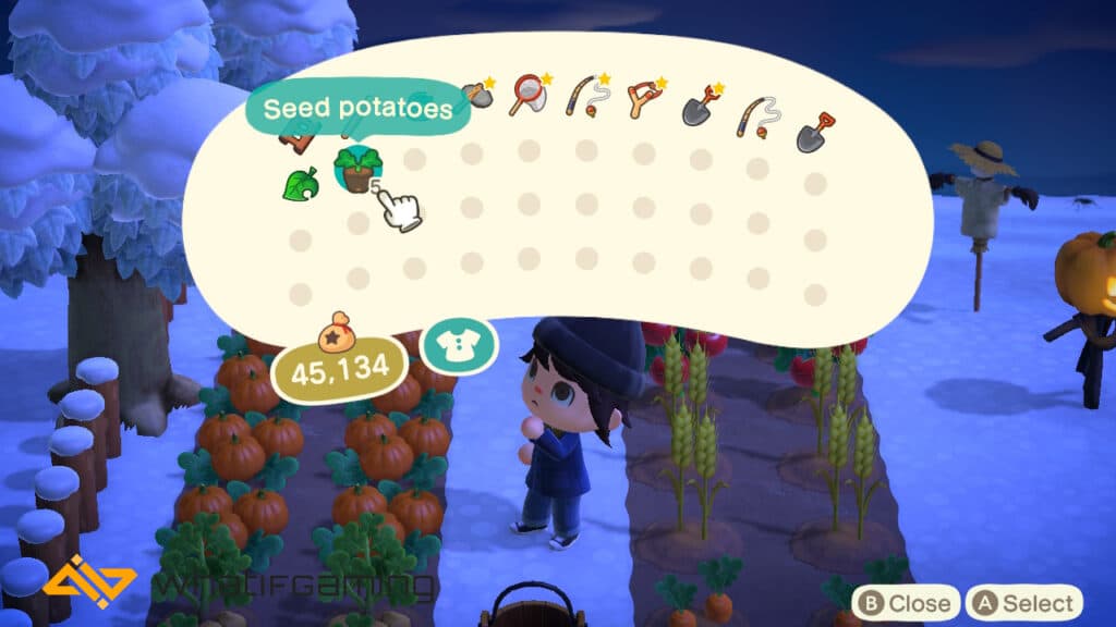 How to get potatoes in Animal Crossing