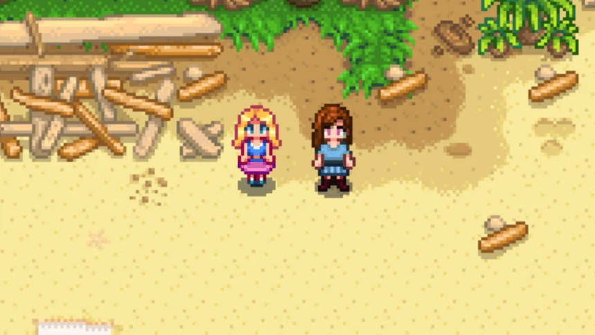 Haley standing in the beach region (south of Pelican Town)