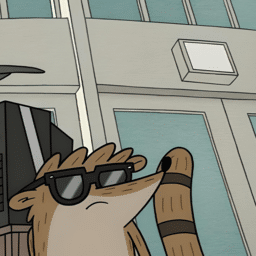 Rigby from the Regular Show matching PFP