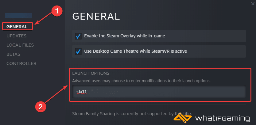 Using -dx11 launch option to enable the Like a Dragon Ishin DirectX 11 mode