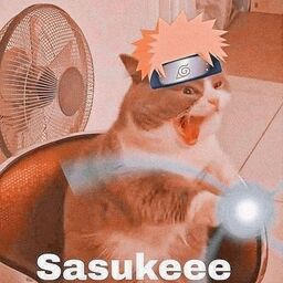 Screaming Naruto cat