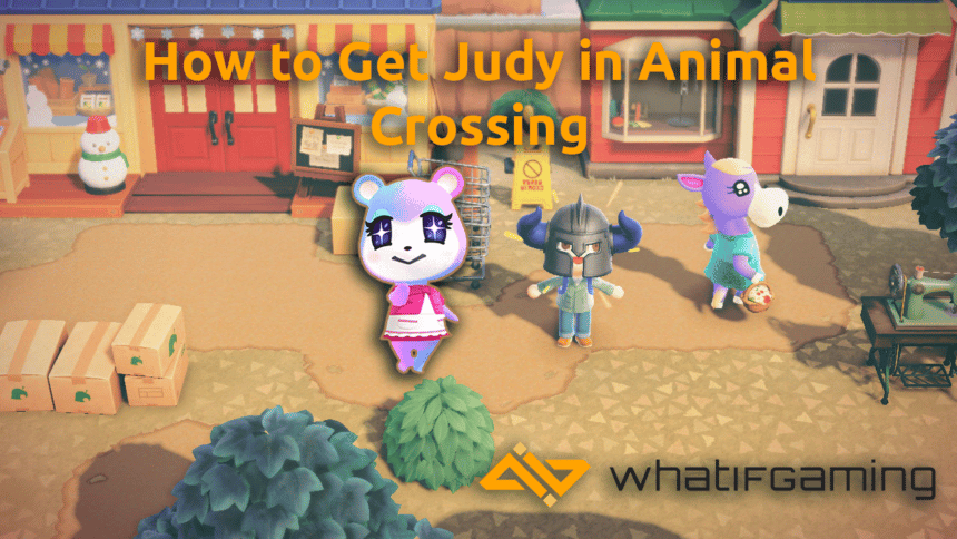 How to get Judy in Animal Crossing