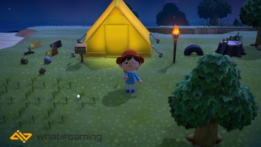 Couleurs du toit d'Animal Crossing : comment changer de couleur