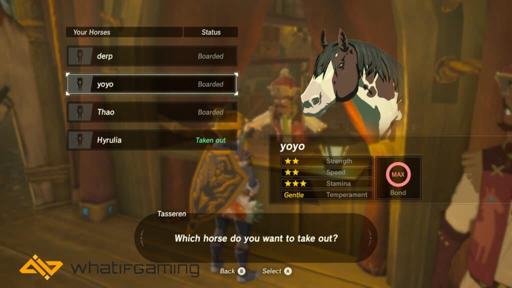 Link choosing which horse to take out. 