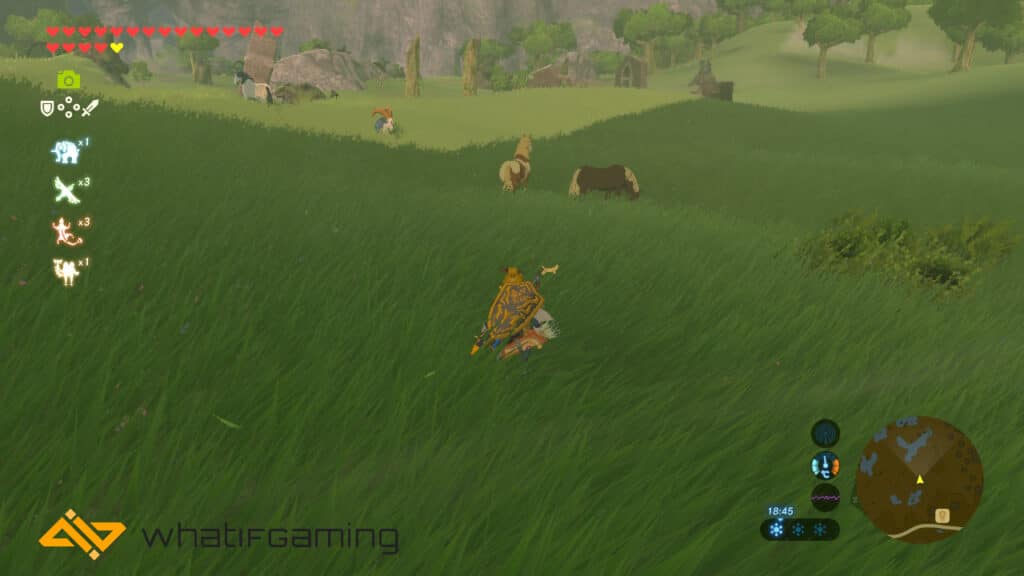 Wild horses found near Dueling Peaks in Hyrule. 