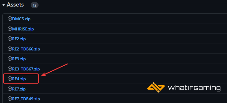 RE4 Zip file for REFramework