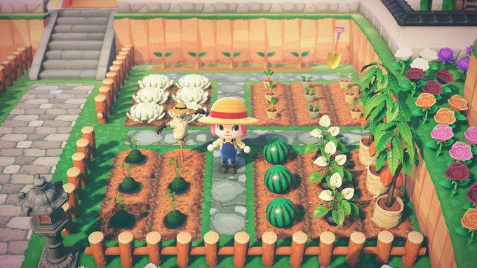 A mini farm in Animal Crossing.