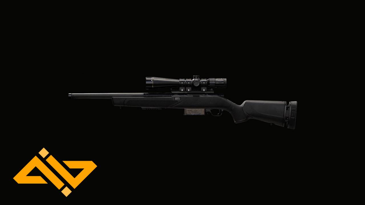 SP-R 208 Sniper Rifle from Modern Warfare 2/Warzone 2.0 with WhatIfGaming Logo