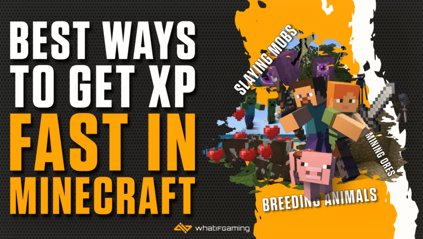 Best Ways to get XP in Minecraft