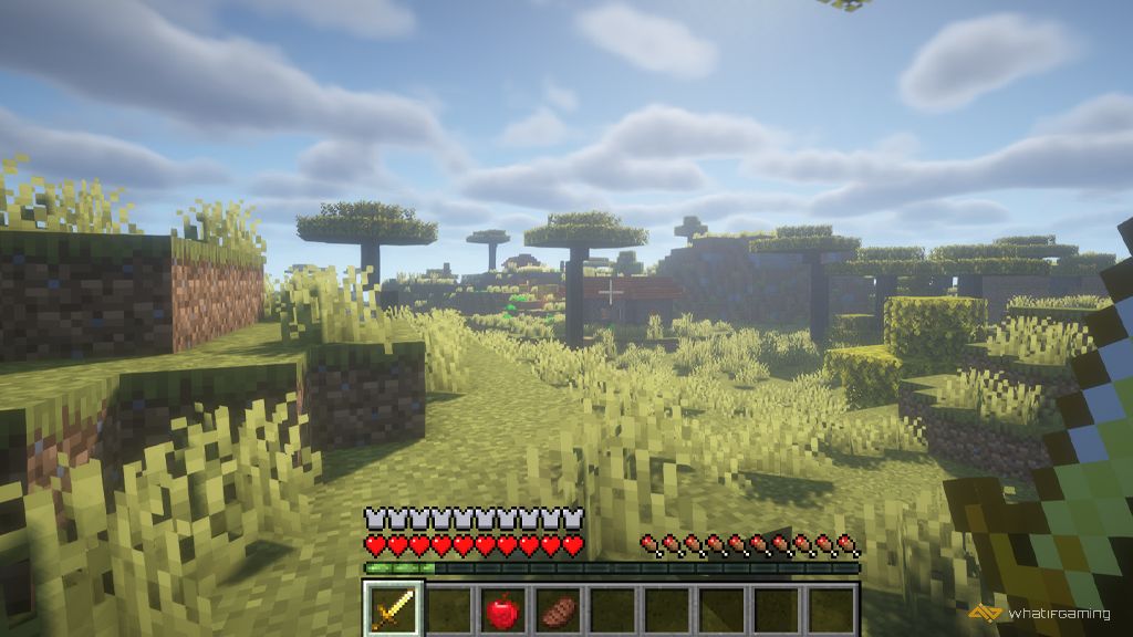 Explore Minecraft to Find Village
